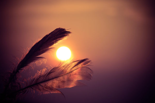 Two silhouetted feathers framing an orange sun.