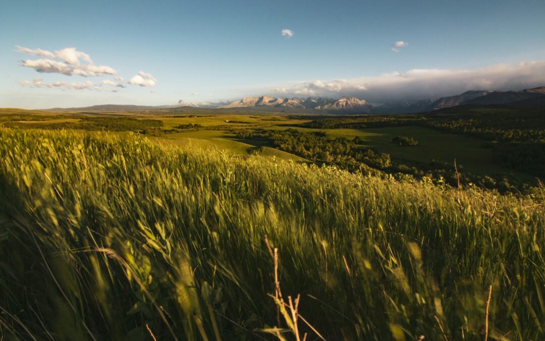 A Pastoral Letter from Regional Alberta United Church Leaders