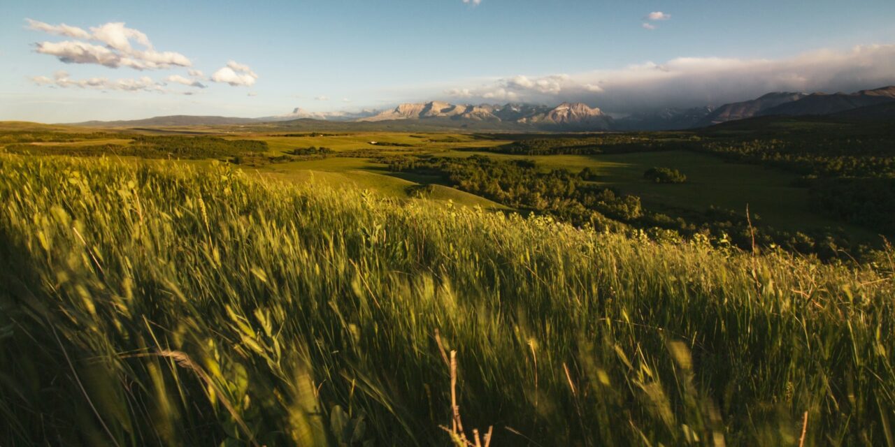 A Pastoral Letter from Regional Alberta United Church Leaders