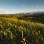 A Pastoral Letter from Regional Alberta United Church Leaders