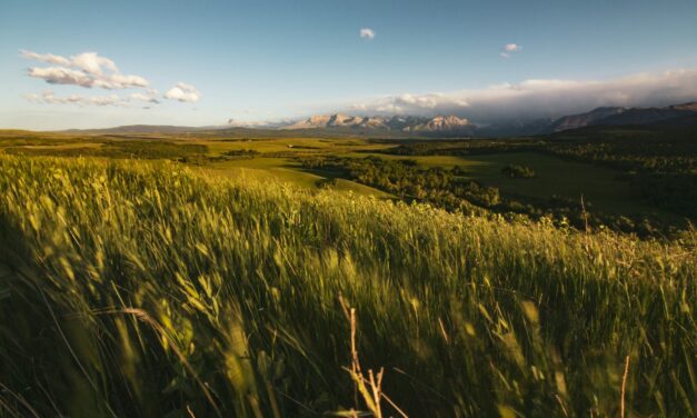 A Pastoral Letter from Regional Alberta United Church Leaders