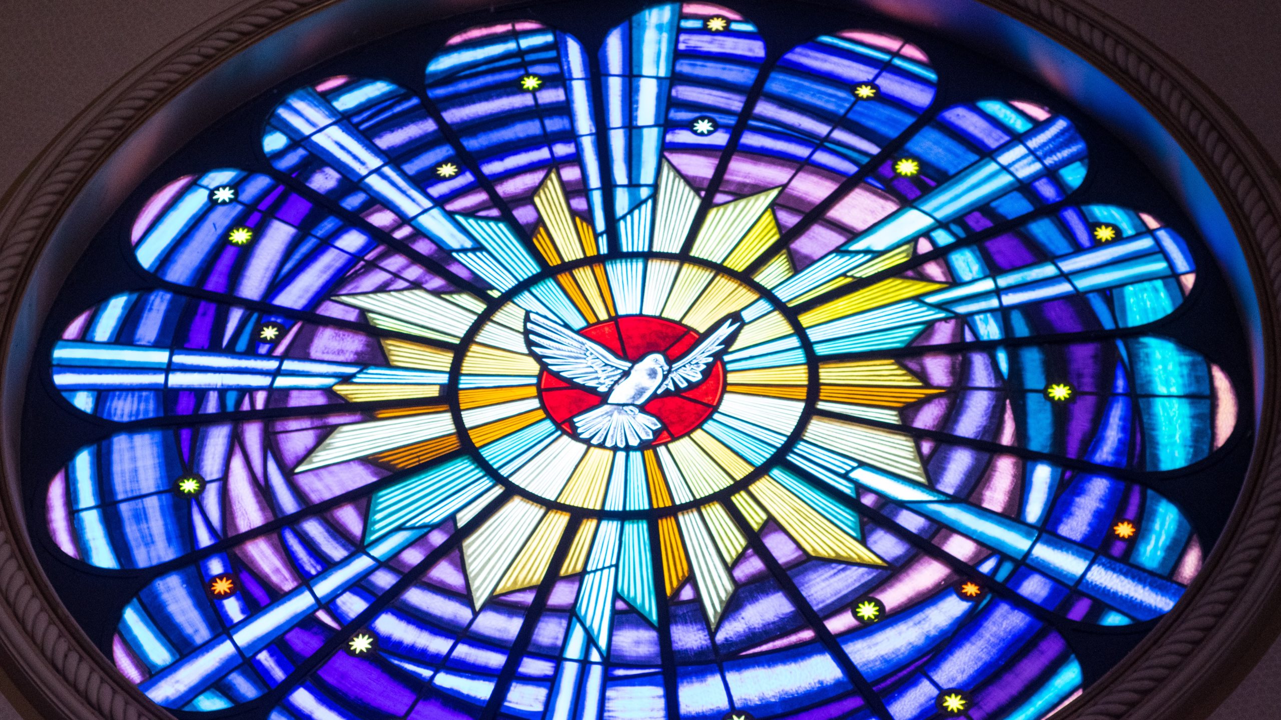 Dove at the centre of a blue circular stained glass window.